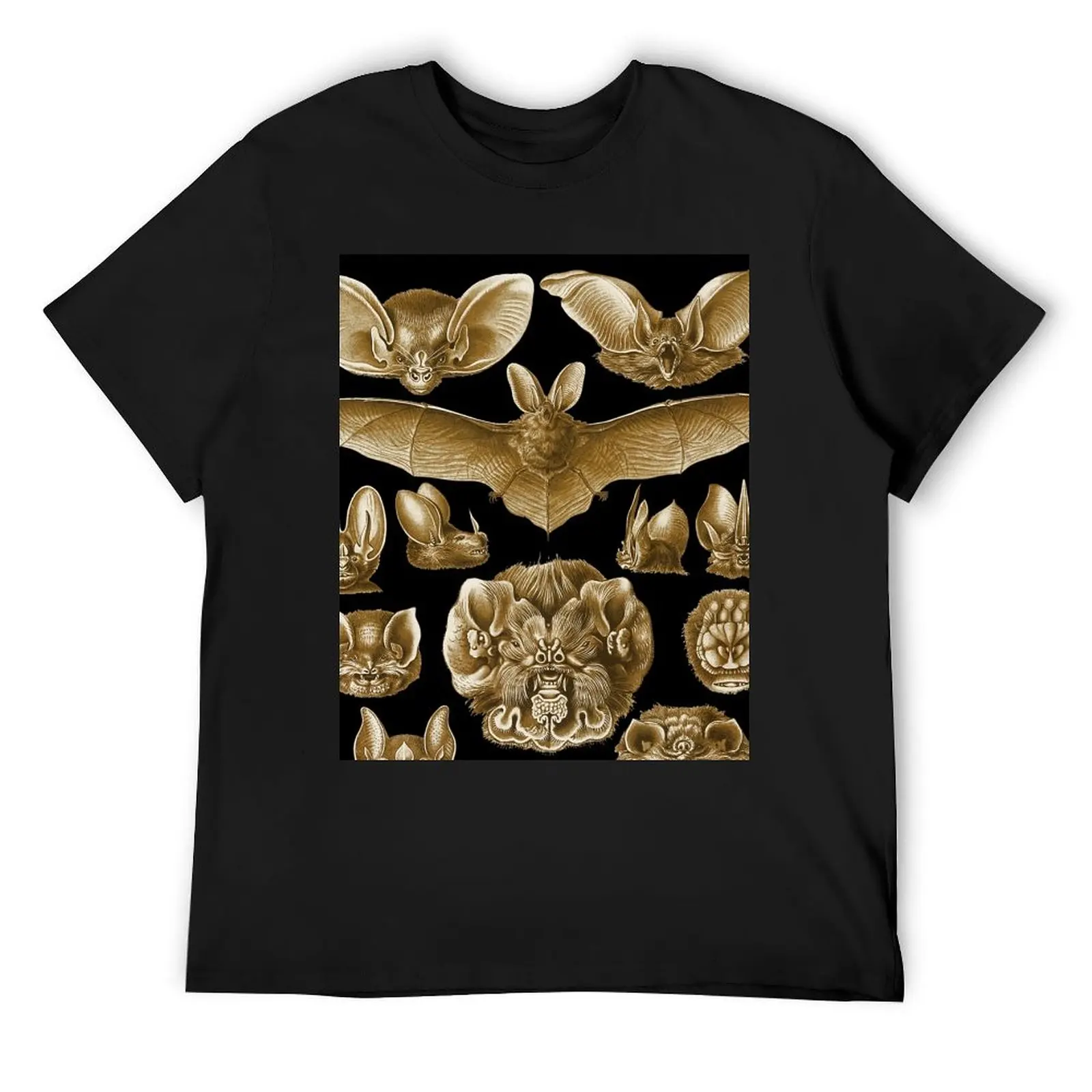 Ernst Haeckel Chiroptera Bat illustration from Art Forms in Nature book. T-Shirt anime t shirts Men's cotton t-shirt