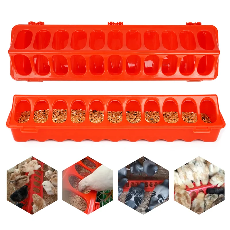 1Pcs Poultry Chicken Feeder Fountain 12-28 Holes Chick Bird Chicken Feeding Ground  Poultry Feeding tools 20/30/40/50cm