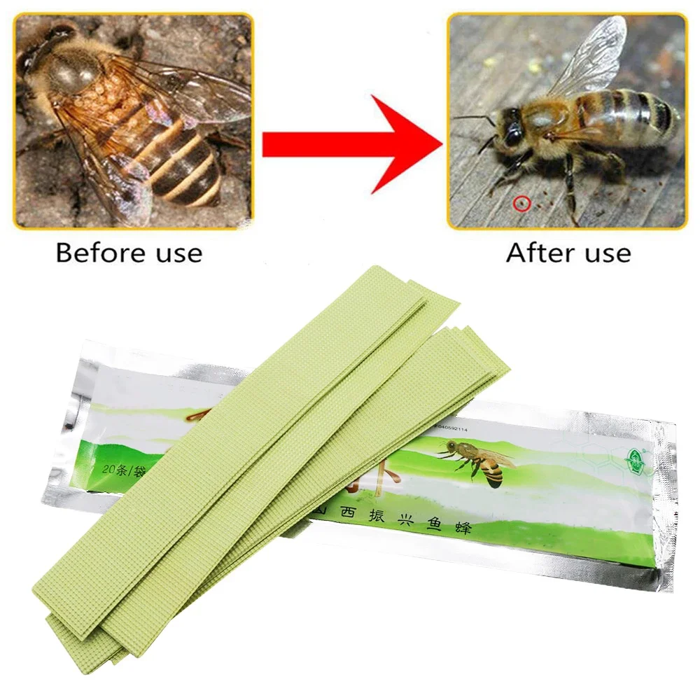 Bee Varroa Mite Strip, Itens Anti-Ácaro, Assassino Apicultura, Suprimentos Colmeia, Ambientalmente, Pacote 1