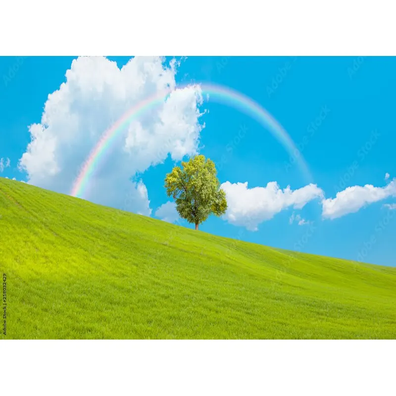 Puntelli di fotografia di paesaggio naturale erba verde e cielo blu con nuvole bianche sfondo fotografico puntelli da Studio 211223 KKLL-04