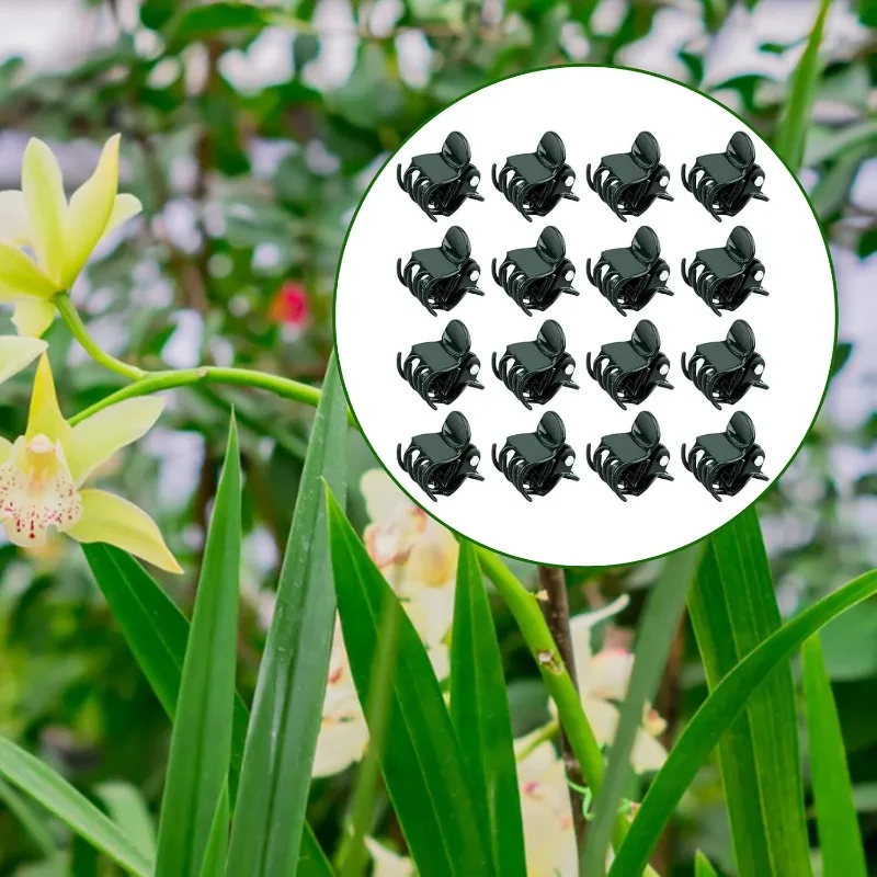 30PCS Plastic 6-Claw Dark Green Plant Clips Orchid Flowers Support Clamp Climbing Vine Stem Clasp Tied Bundle Branch Garden Tool