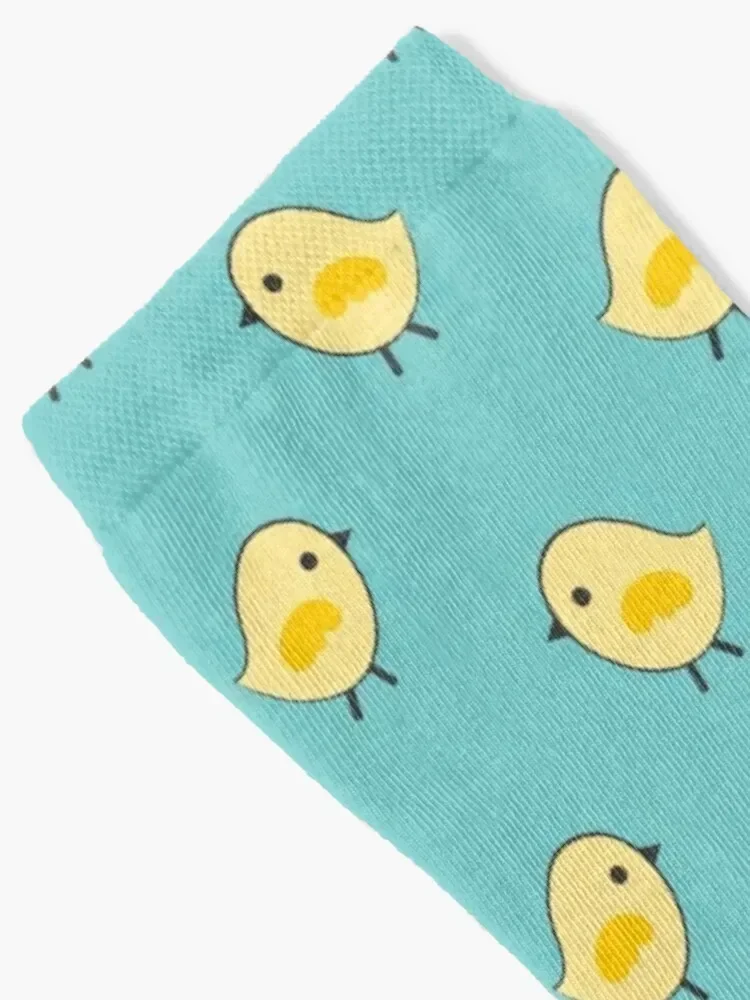 Busy Chicks - Aqua Socks man luxury Socks Women's Men's