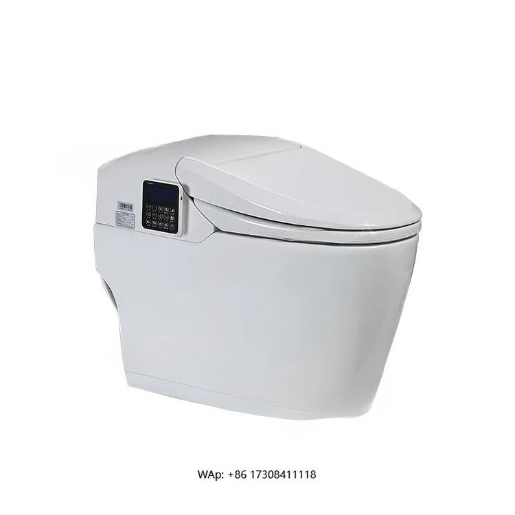 Indoor Wall-Mounted Ceramic Smart Toilet Hidden Tank S-Shaped Trap