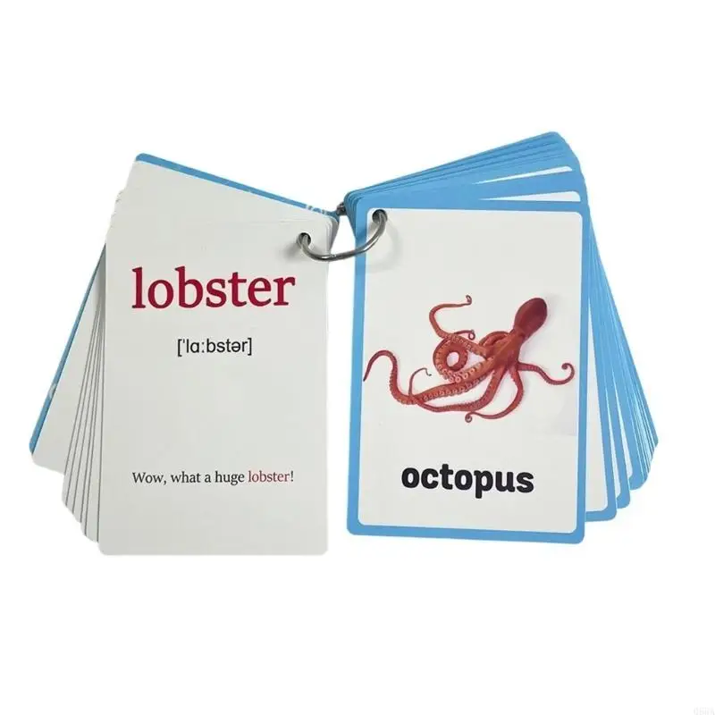 20sheet Sea Animal Vocabulary Flashcards بطاقات كلمات الحياة البحرية لرياض الأطفال #3