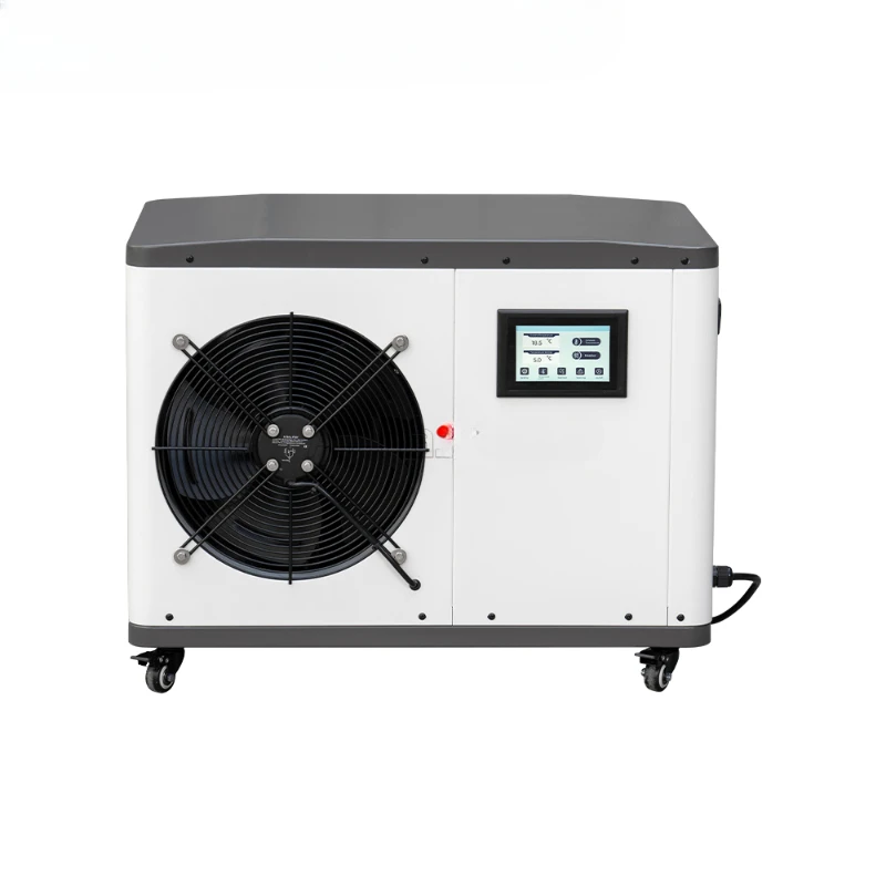 Cold Plug In Chiller With Ozone Chiller 1.5hp Ice Bath Chiller With Heater