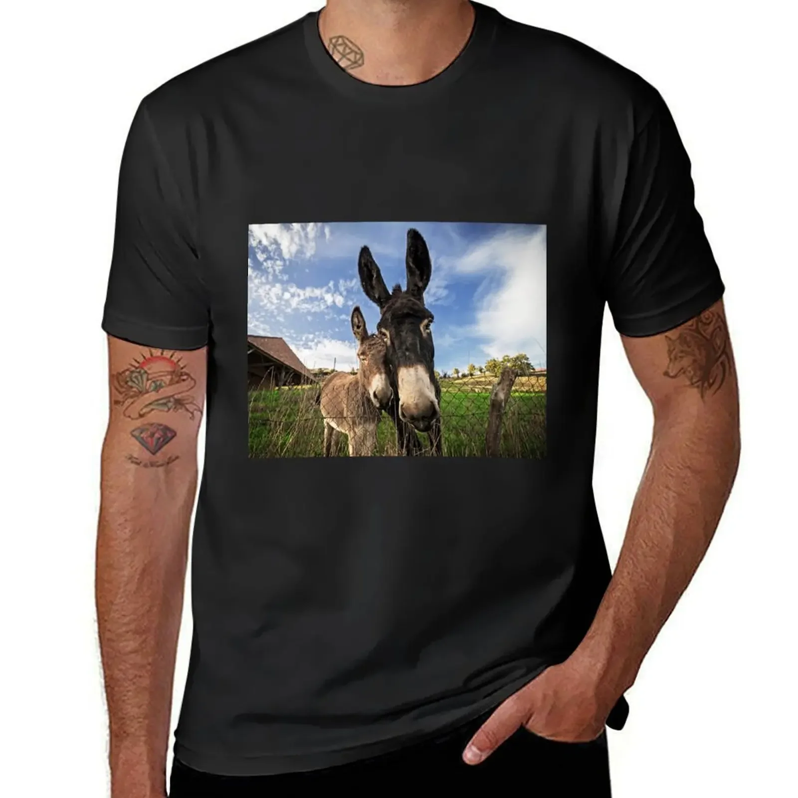 Donkeys! T-Shirt for a boy hippie clothes mens t shirts pack