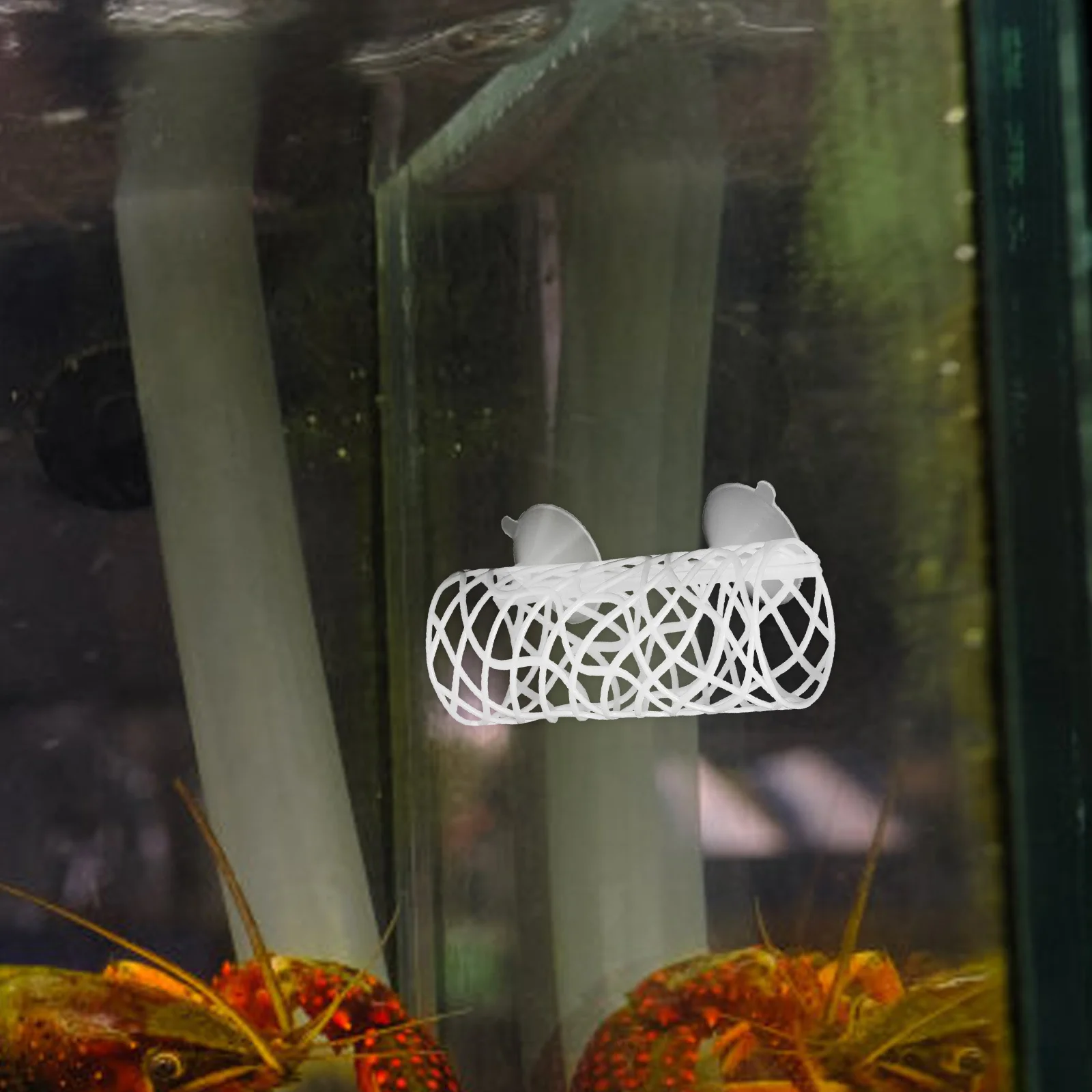 

1Set Fish Tank Decor Hollowed Betta Tunnel Safe Resting Bed Aquarium Decoration Shrimp Tunnel Betta Fish Tank Hideout