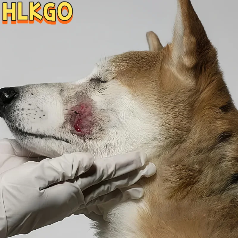 

Терапевтическое лазерное устройство 650 нм 808 нм для ускоренного исцеления спортивных травм, ишиаса и артрита, дискомфорта