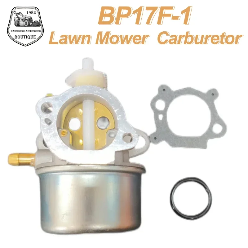 BP17F-1 convient pour Brrrrrriggs & Strrratttttton 799868 498170 497586 Snow Sweeper Carburateur et ses accessoires