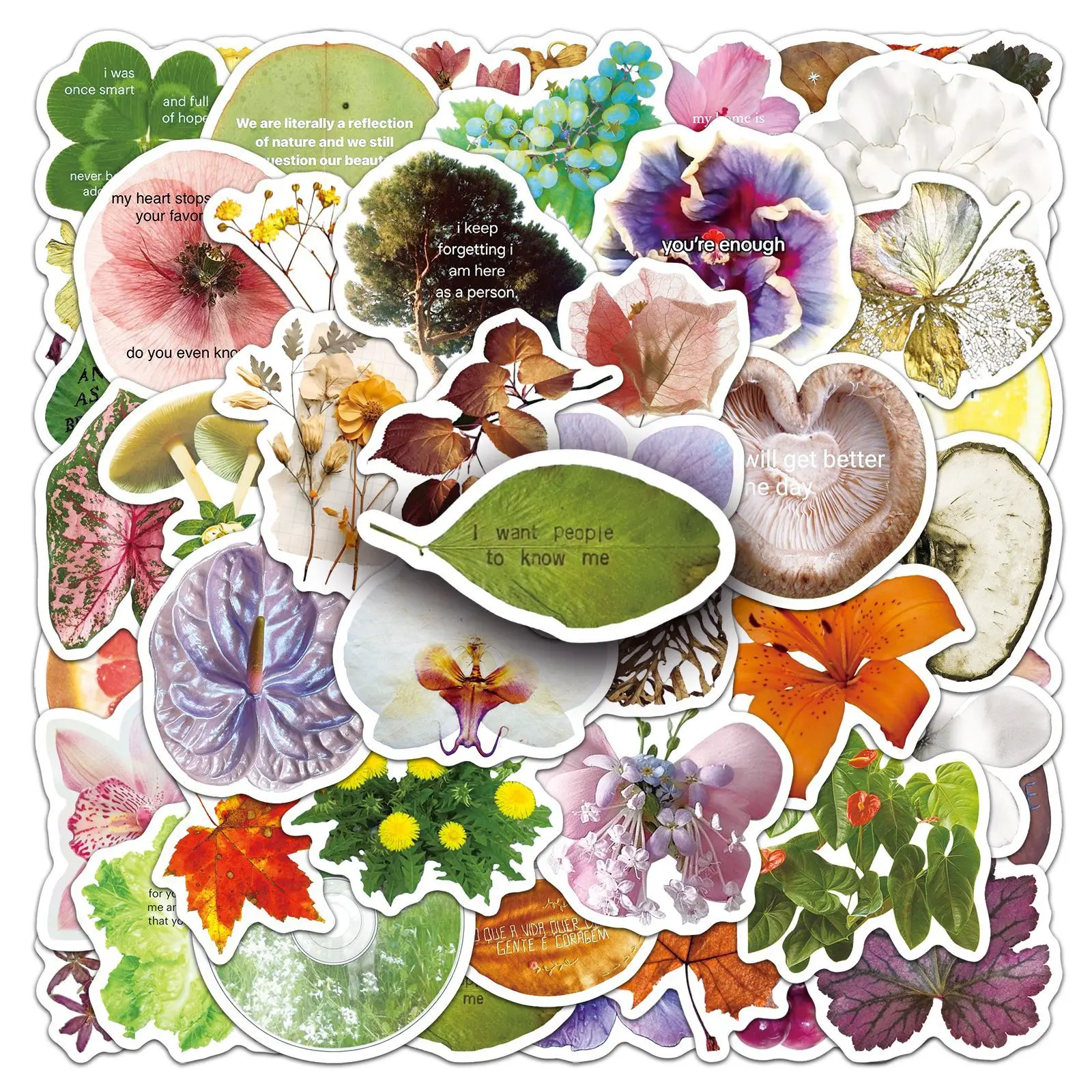 

50PCS Plant Specimens Doodle Stickers Creative Flowers Leaves Cartoon Decal Laptop Phone Scraphbook Waterproof Sticker Kid Toys