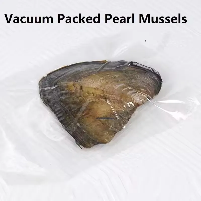 Desejo pérola colar kit inovador corrente charme para presente de feriado encantos diy para fazer jóias charme pingente conjunto