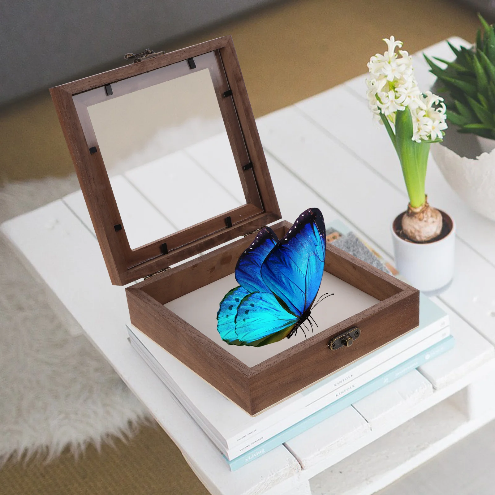 

Butterfly Specimen Box Case Wood Showcase Floating Frames Display Holder Acrylic