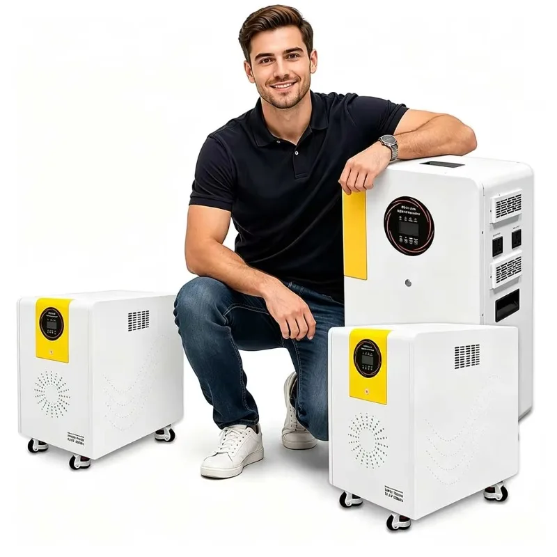 Customized Home Energy Storage Wide Temp -20~60C Voltage 3kW/15kWh All-in-One Energy System