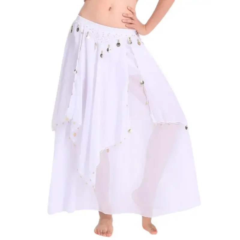 

Women Belly Dance Long Skirt with Coins Chiffon Belly Dancer Costumes Layered Skirt Party Festival Costume