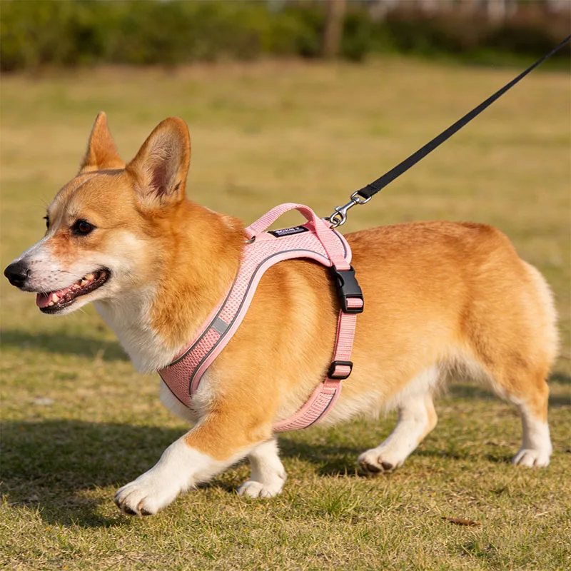 Hochwertige reflektierende Leine für kleine und mittelgroße Hunde und Katzen, geeignet zum Spazierengehen und Wandern von Hunden, Hundegeschirr- und Leine-Set, reflektierend, weiche und leichte