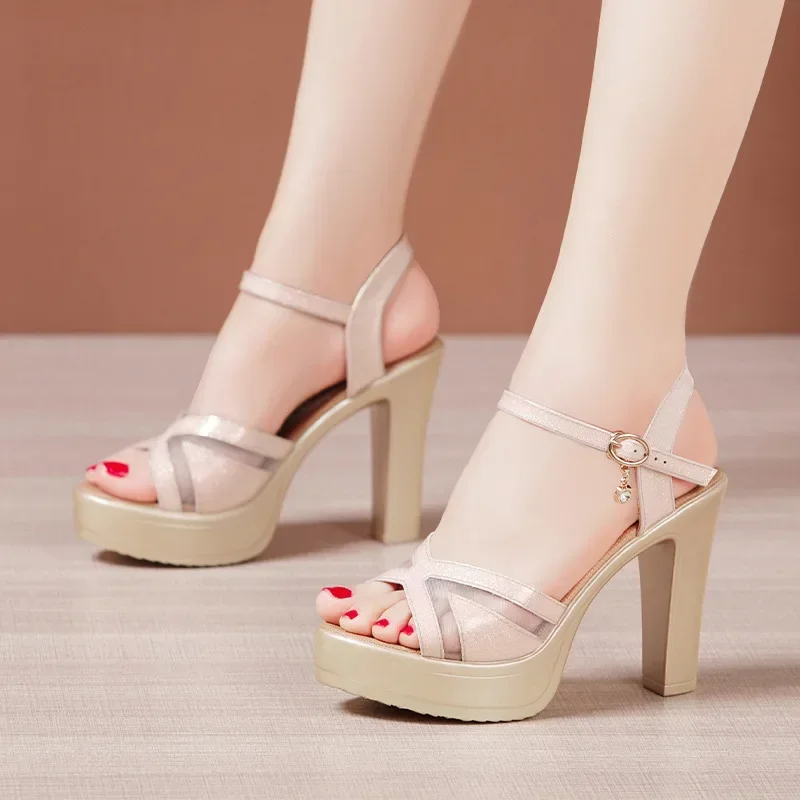 10cm Small Size 32-43 Elegant Mesh Leather Shoes Chunky Platform Sandals 2024 Women Block High Heels Sandals Office Model Party