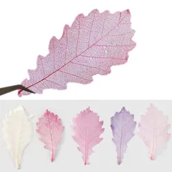 2-3.5CM/24PCS Real Natural Dried Pressed Flowers live oak Leaf,Dry Press Flower Press Skeleton Leaves DIY For Epoxy Resin,Card