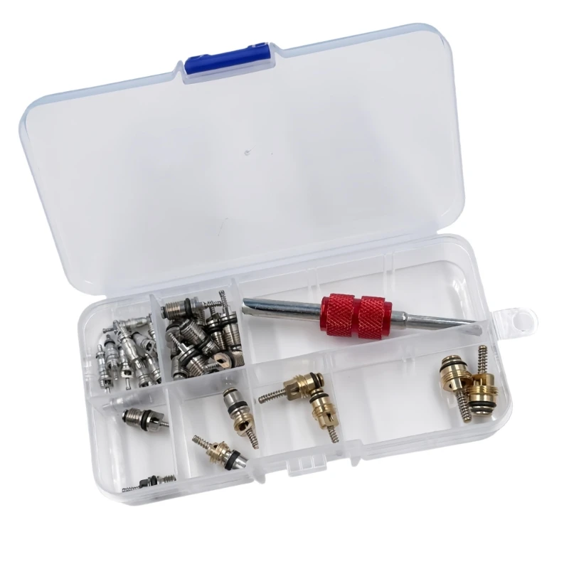 

0XXD Multiple Vehicle AC Valves Replacement Set With Removal Tool Long Lasting Metal Cores For Vehicle Air Conditioning