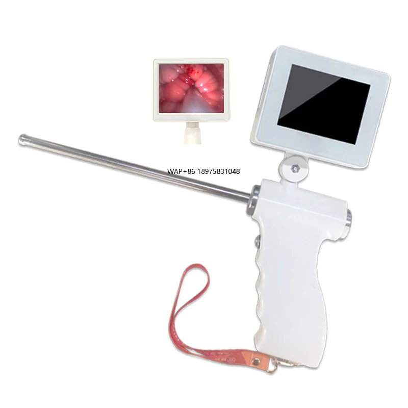 Veterinary Equipment Insemination Kit Dog Donkey Cattle Pig Sheep Horse Animal Digital Vision Artificial Insemination