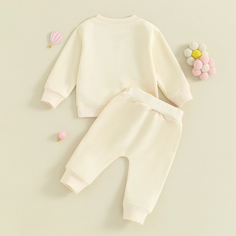 Baby Girls 2 Piece Outfits Toddler Casual Flower Embroidery Long Sleeve Round Neck Sweatshirt and Solid Color Pants Set