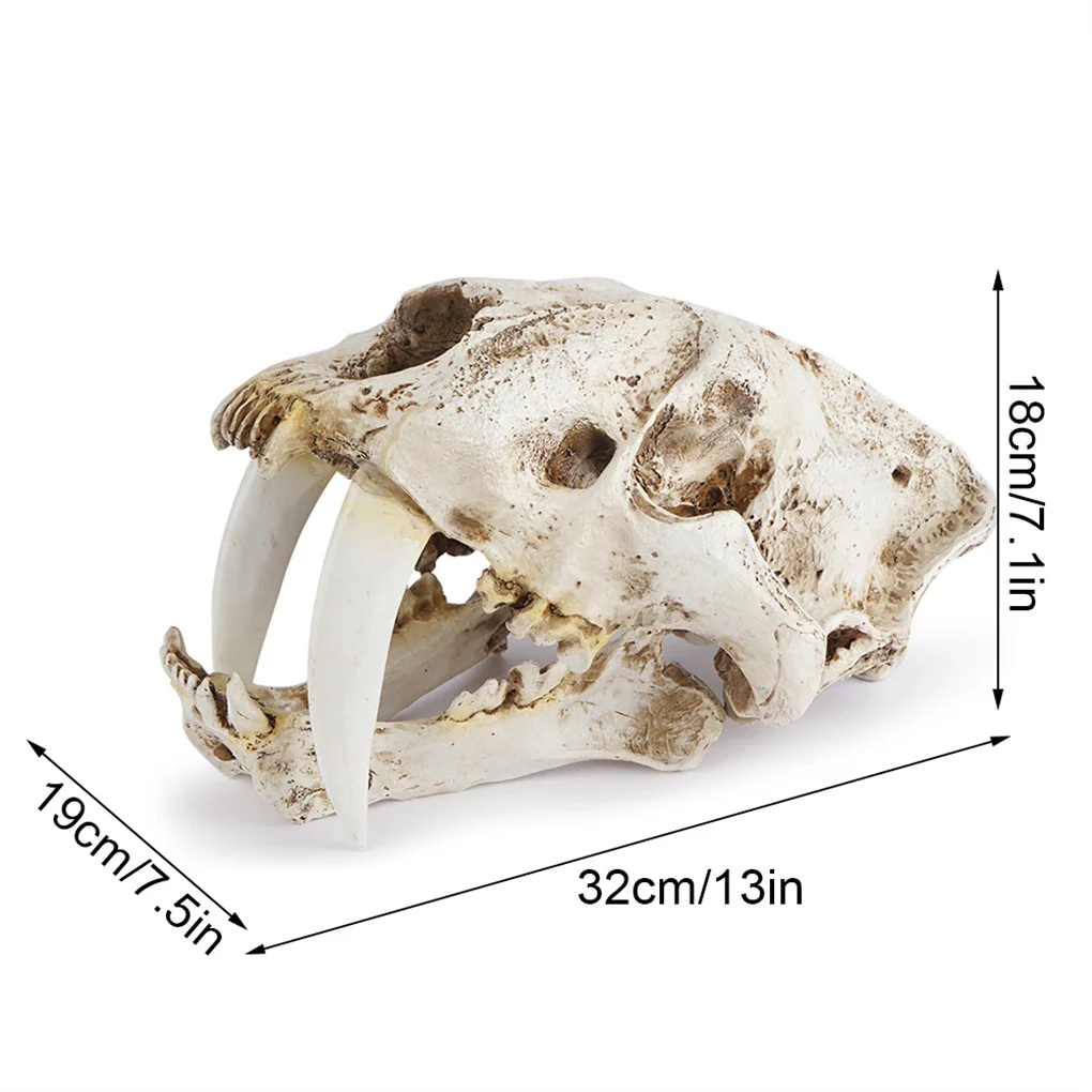 Resin Skull Decor Smilodon Saber Tooth Tiger Craft Figurines Home Bar Desk Gothic Style Teaching Prop for Halloween Party
