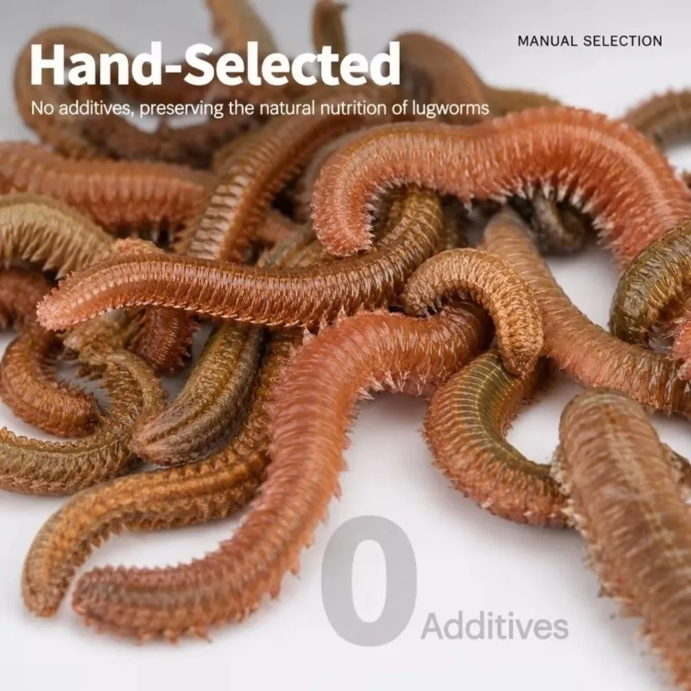 10g Weight Artificial Sea Worm Bait 1bag Pack Soft Texture Dry Sandworms Bait Lifelike Design Dry Form Fishing Tackle Bait