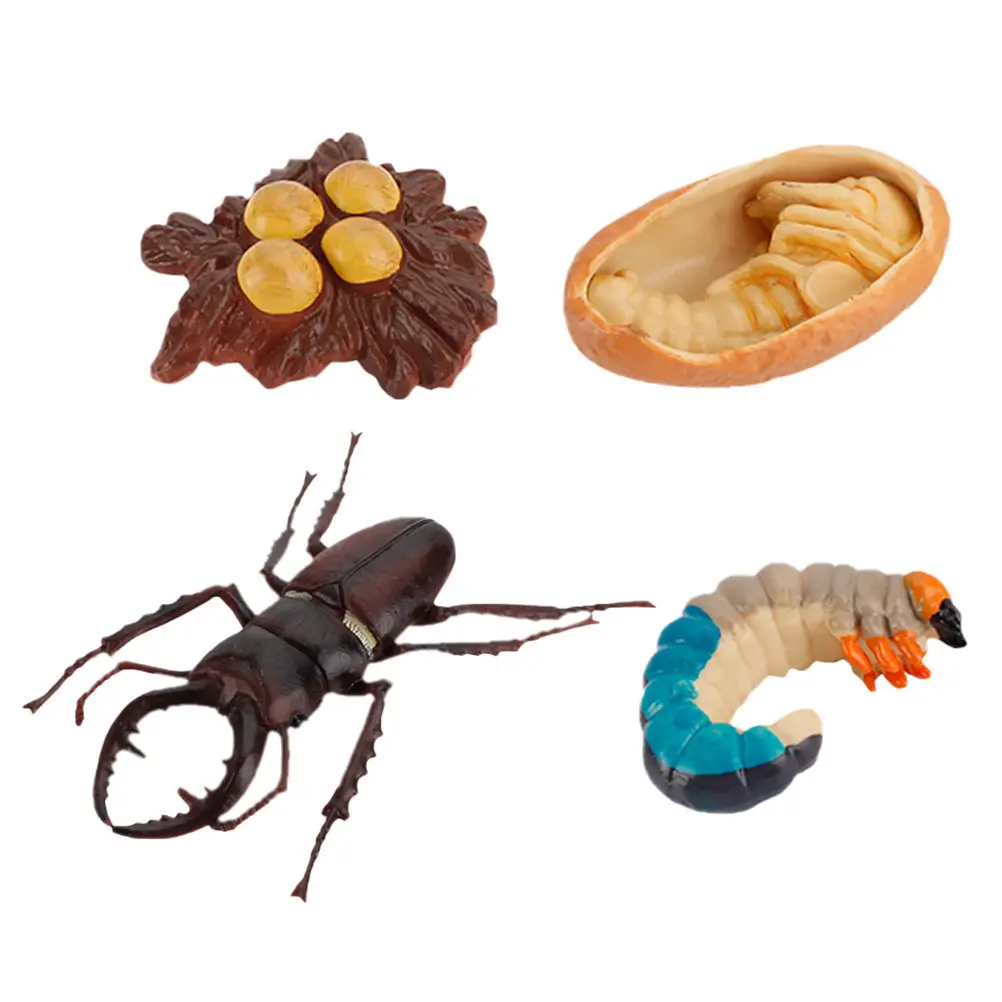 4Pcs Insect Simulation Growth Display Creativity Decorations Educational Supplies for Kids Nature Learning Home Party