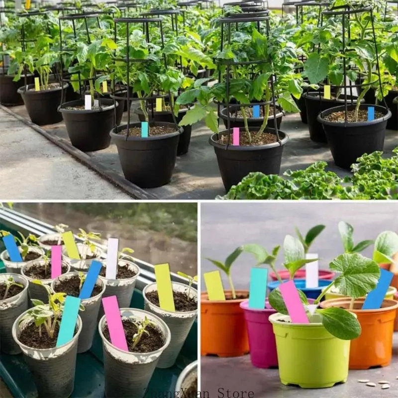 600 Stück praktische Pflanzenschilder, großer Schreibraum und helle Farbauswahl, wasserdichte Ringe für Blumen- und – Detail 7