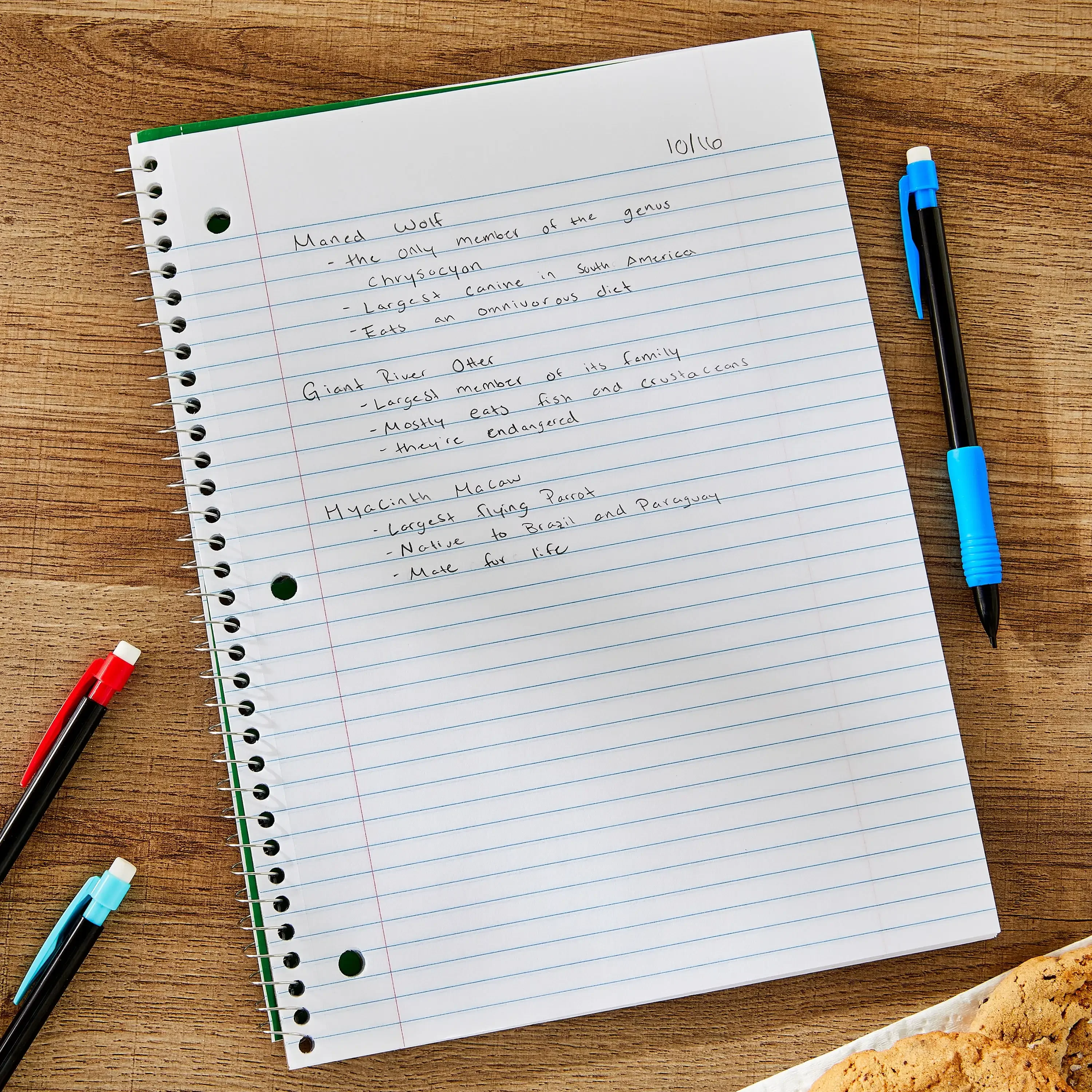 College Ruled 1-Subject Notebook, 8" x 10.5", Green, 70 Sheets