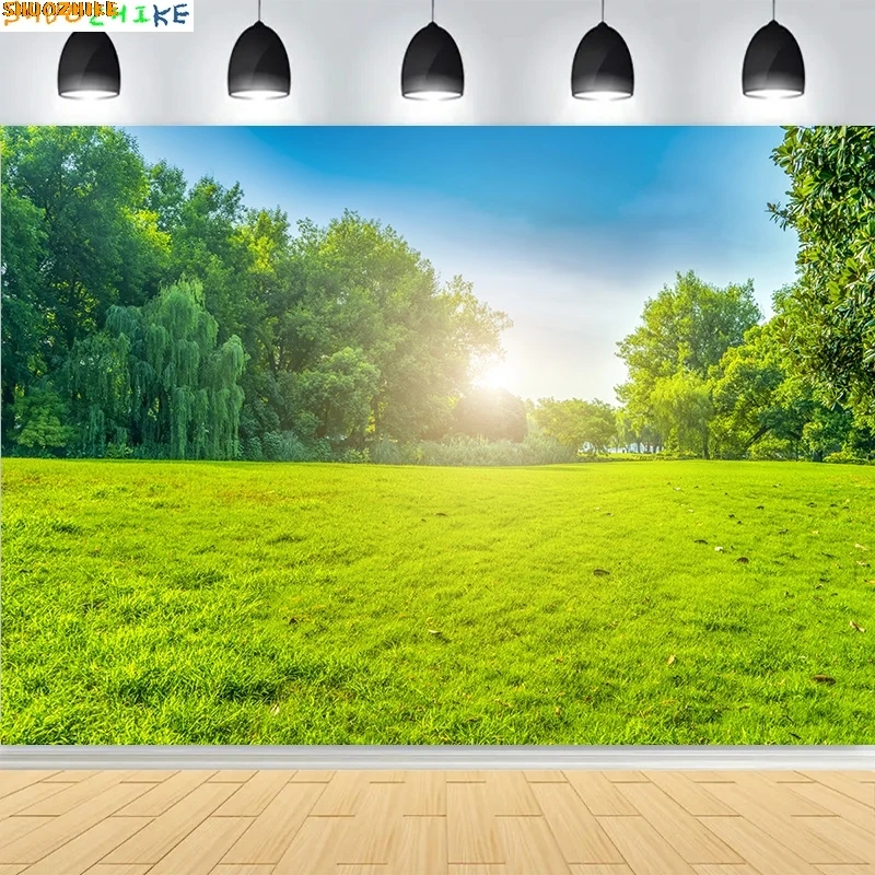 

Tranquil City Park Blue Sky Photography Backdrops Grass Landscape Bathed Morning Sunlight Garden Photo Background CG-01