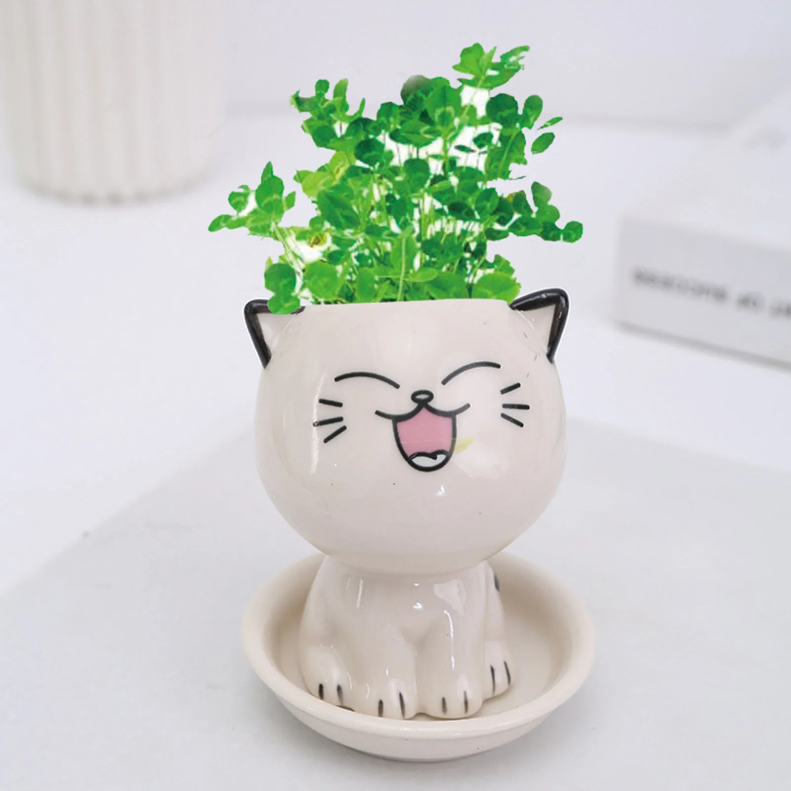 Cat Shaped Ceramic Flowerpot Cactus Flower Pots Desk Decorate Small Ornament Ideal Gift for Christmas Birthdays