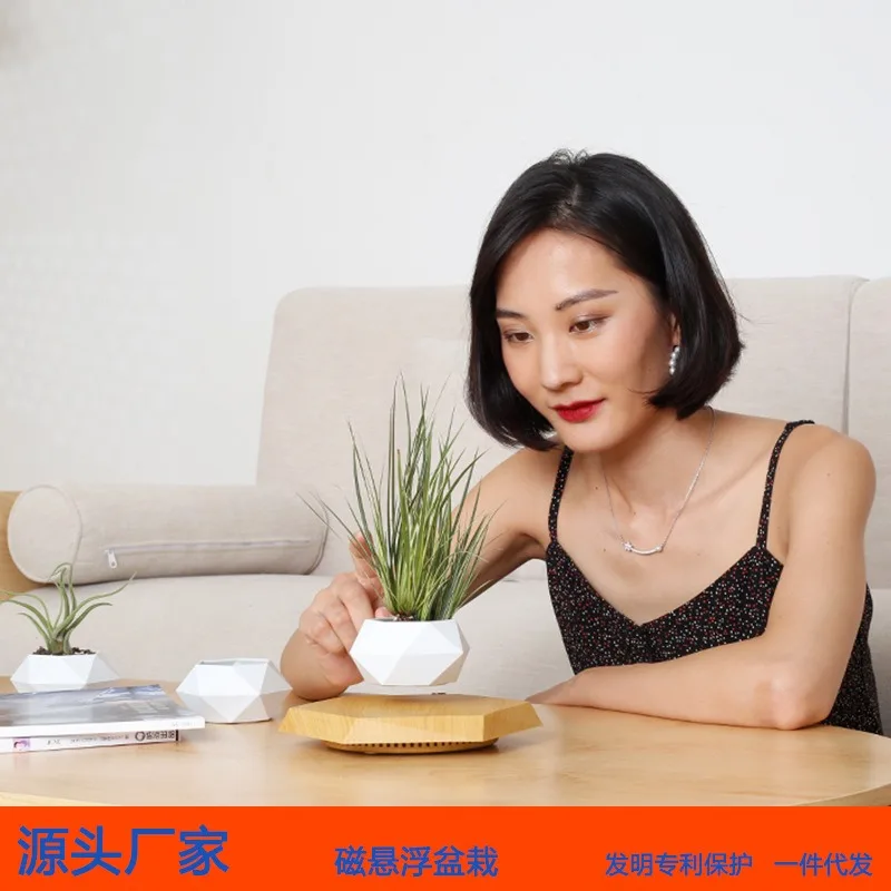 Maglev potted plants, flower pots, creative bonsai handicrafts, gifts ins wind ornaments, wholesale, cross-border e-commerce