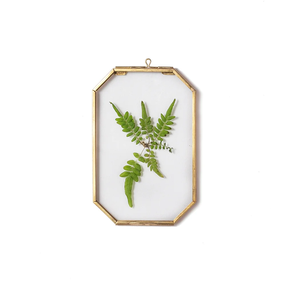 crapelles Brass Hanging Photo Frame, Double Glass Wall Decor Hanging Octagon Herbarium for Pressed Dried Flowers Plant Specimen