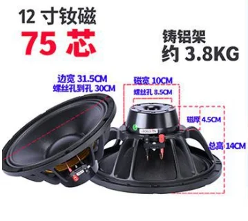12 Inch Neodymium Woofer Speaker, Bass Subwoofer for Car Audio Home Stereo