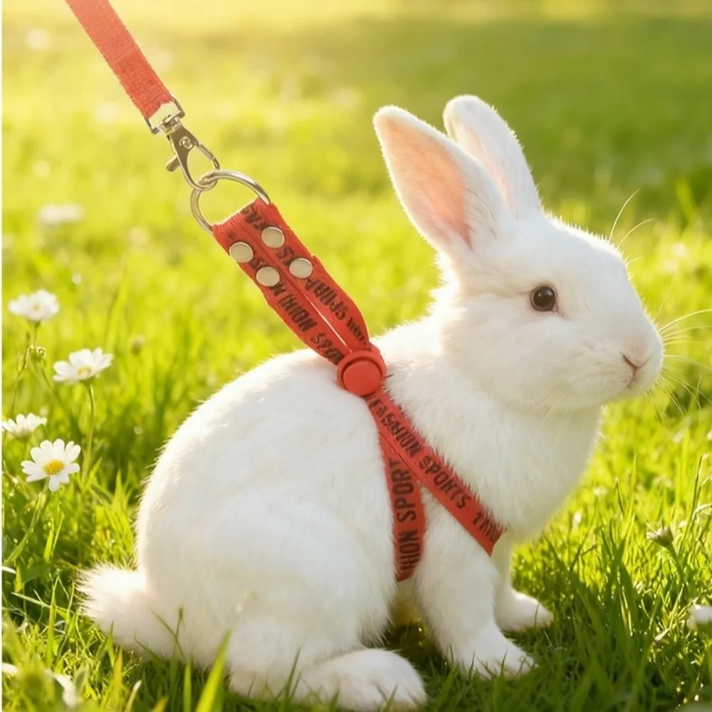 Practical Adjustable Rabbit Towing Rope Escape Proof Soft Guinea Pig Harness Comfortable Ferret Anti Loss Rope Pet Running