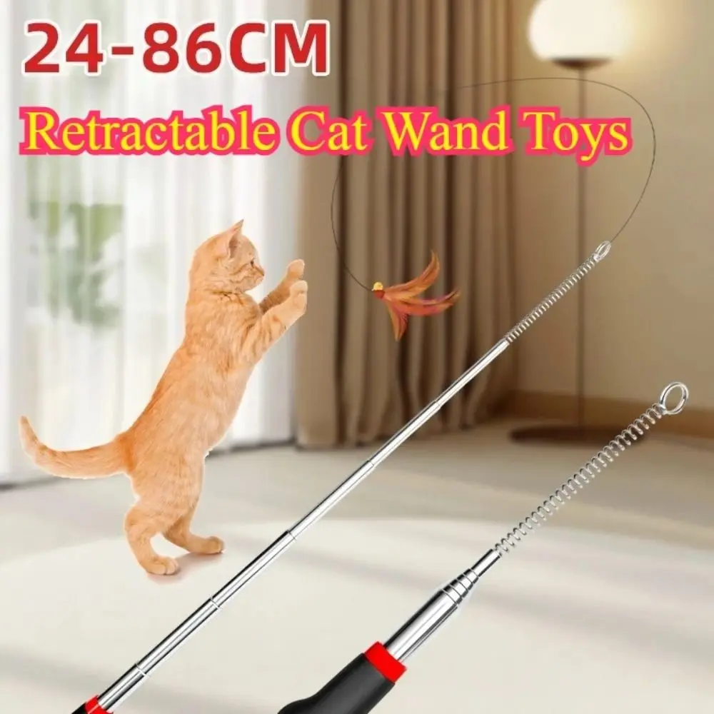 Durable Metal Retractable Teaser Cat Toy Plastic Retractable