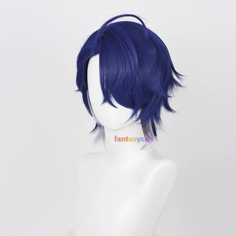 Honkai: Star Rail Sampo Koski Cosplay Wig 35cm Blue White Mixed Short Men Wigs Heat Resistant Synthetic Hair Halloween Role Play