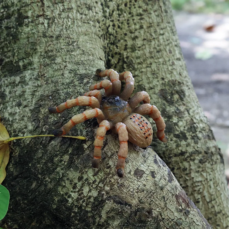 Bambini Educazione scientifica Simulazione Modello animale Giocattolo ingannevole Ornamento di insetti Scena da tavolo di sabbia Vestito di ragno di Halloween Giocattolo di plastica