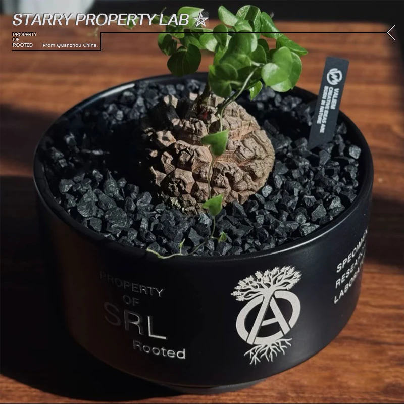 Neighborhood NBHD SRL handmade flowerpot cactus Hui Bi must laugh big black planter pot agave ceramic flowerpot.