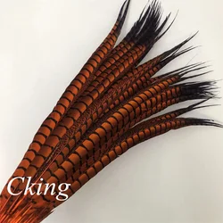 10Pcs/Lot Natural Lady Amherst Pheasant Feathers for Extensions Decoration Long Wedding Accessories Carnival Decor for Clothes