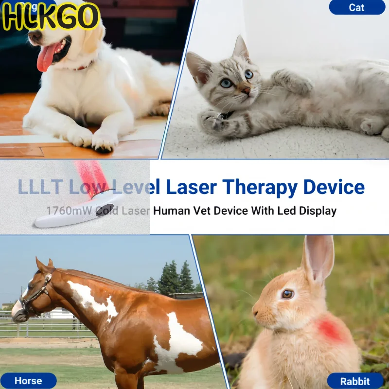 

Compact B Cure 650nm 808nm Cold Laser Therapy Device Easy to Use at Home for Quick Pain Relief and Care