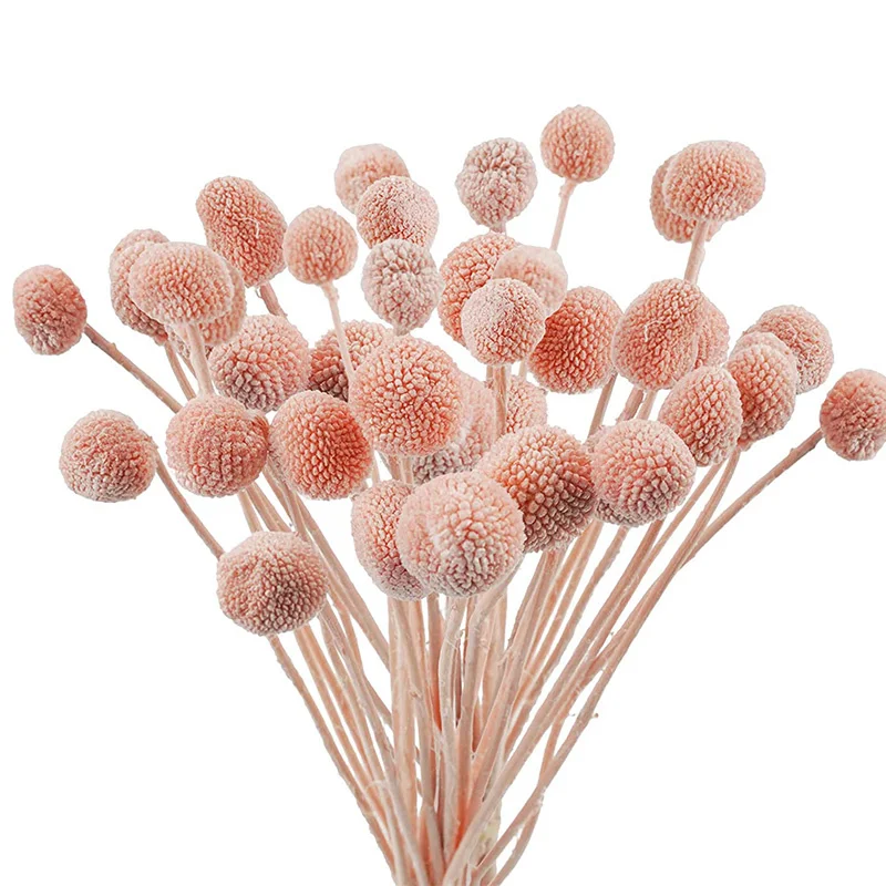 

Dried Craspedia Flowers Billy Button Balls Flowers for Home Office DIY Flower Arrangements Wedding Boho Baby Shower Decorations