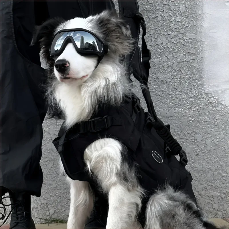 Neue Hundebrille, UV-Schutz, winddichte Sonnenbrille, verstellbare Haustierbrille für Outdoor, Radfahren, Strand, blendfreie Schutzbrille