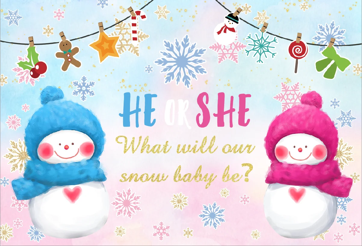 Reveal Backdrop Blue Pink Snowflake Decor Boy or Girl Gender Winter Snowman Surprise Party Photography Background Photo Props