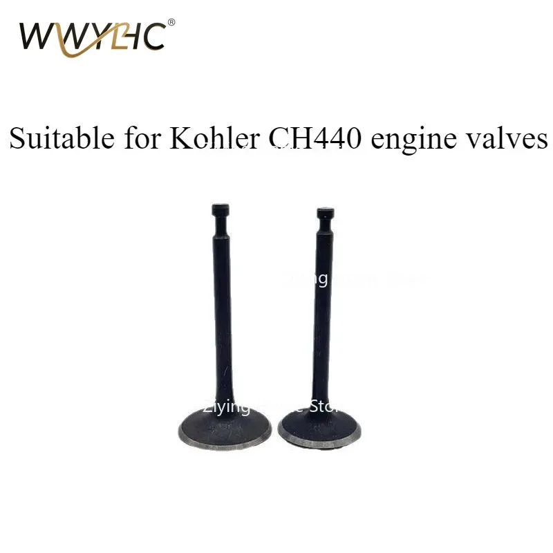 

Suitable for CH440 in&Ex Valves，1pcs