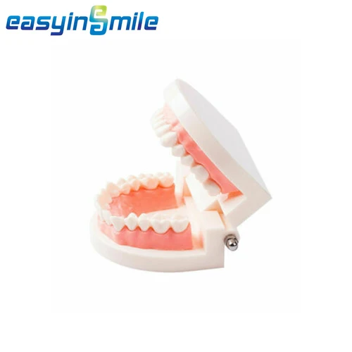 Imagen 2 del producto 16/12 juegos/caja de dientes dentales Anterior Posterior polimérica dentadura acrílico A2 A3 2 capas materiales de odontología modelo educativo