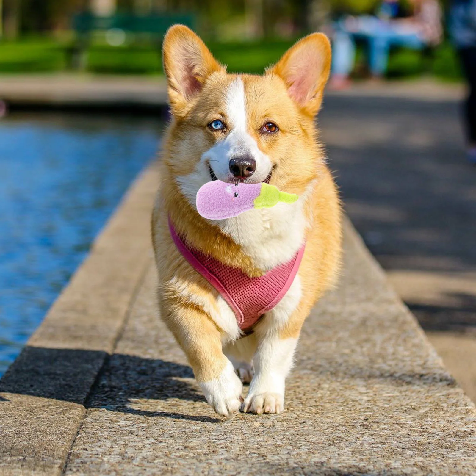 

1pcs Realistic Vegetable Squeaky Pet For Dogs Cats Sound Puppy Chew Durable Dog Carrot Eggplant Soft Lightweight Interactive Dog