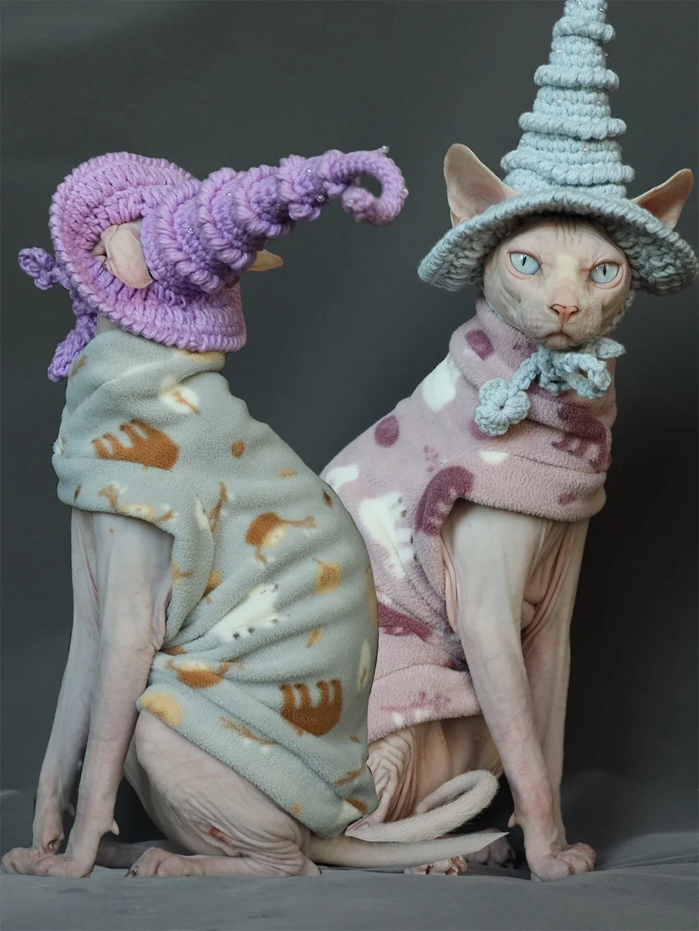 

Осенне-зимняя одежда для домашних животных, безворсовая одежда для кошек, защита от ворса, утолщенная флисовая подкладка для кошек