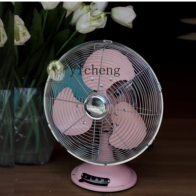 a5 fan ornament iron electric fan pastoral table fan household
