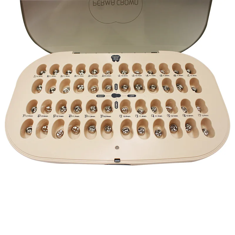 Dentistry Temporary Materials Pre Crown Permanent Molars Stainless Steel Child Braces Deciduous Emerging Milk 6 Teeth Position